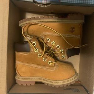 Toddler wheat Timberland